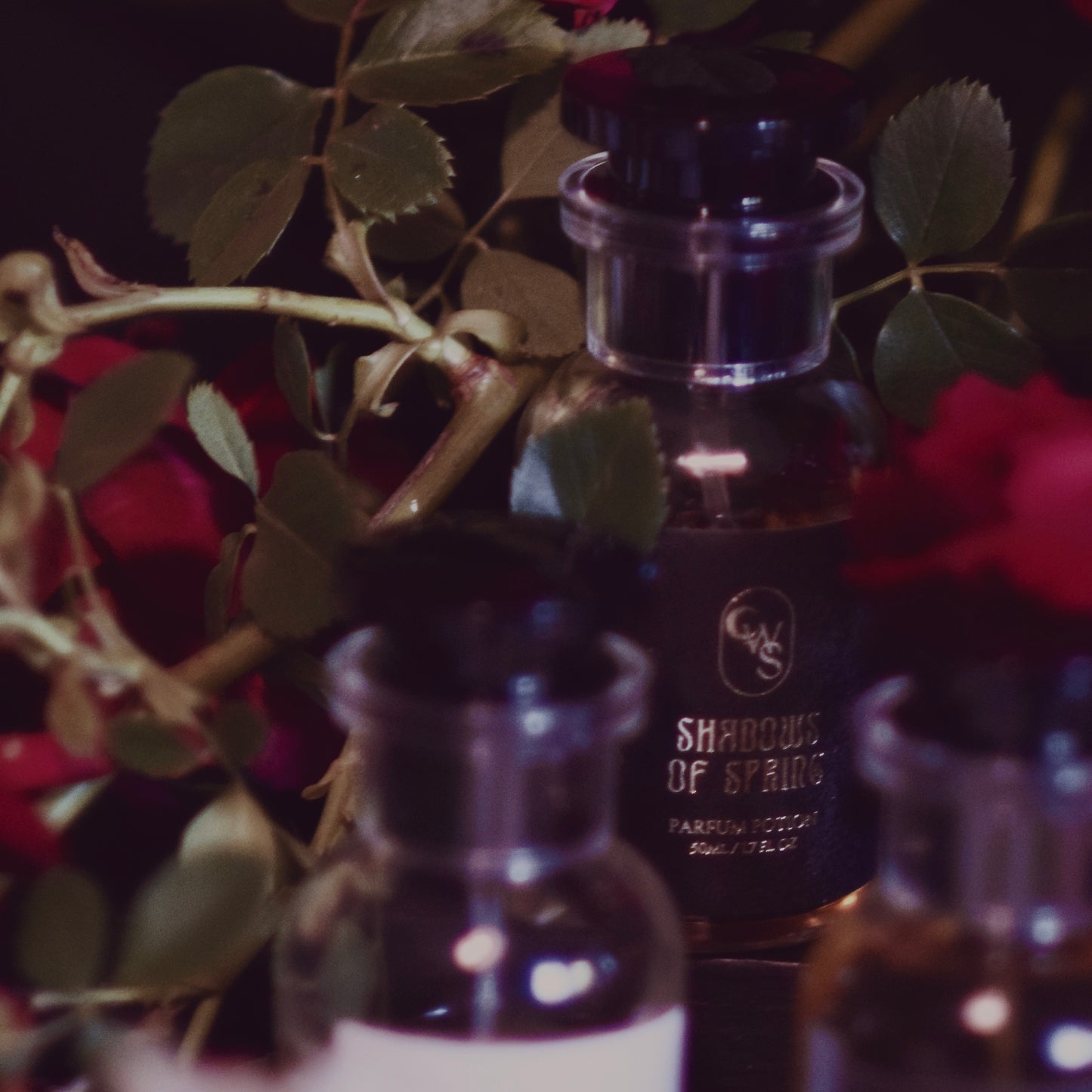 Shadows Of Spring | Parfum Potion